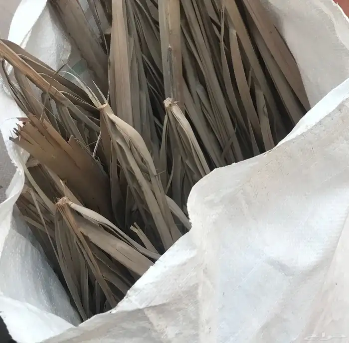 كرب نخل للمندي 2