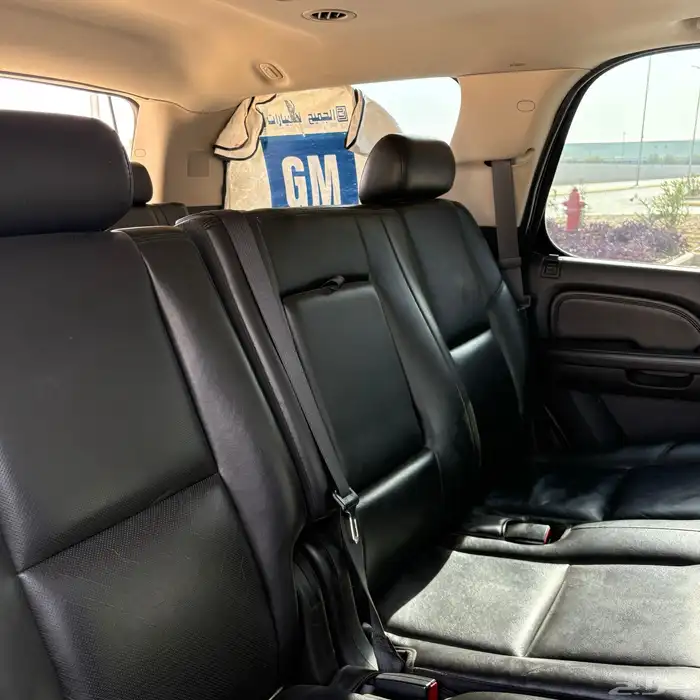 يوكن دينالي موديل ( 2009 ) في قمة النظافة 38