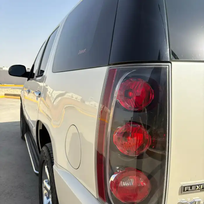 يوكن دينالي موديل ( 2009 ) في قمة النظافة 19