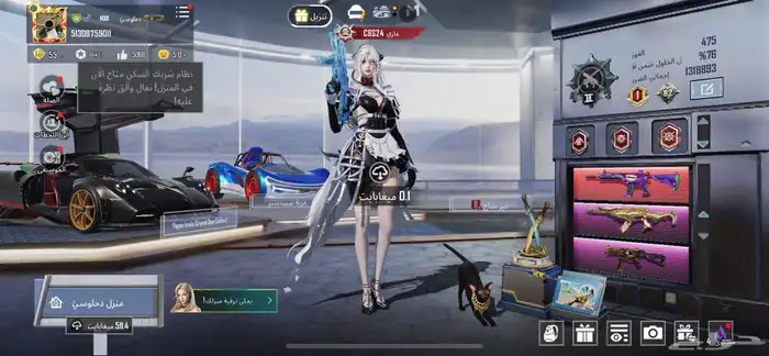 حساب ببجي 12