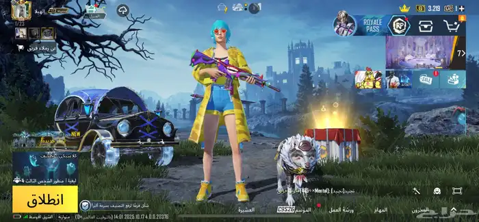 حساب ببجي للبيع 0