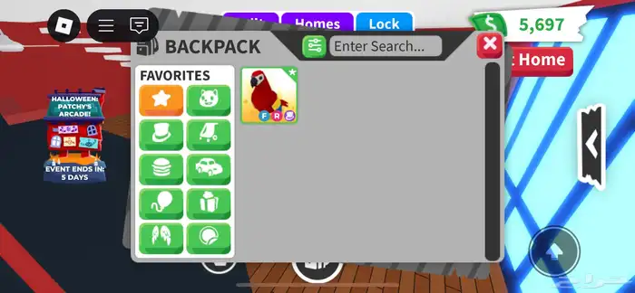 للبيع ببغاء ادوبت مي 0