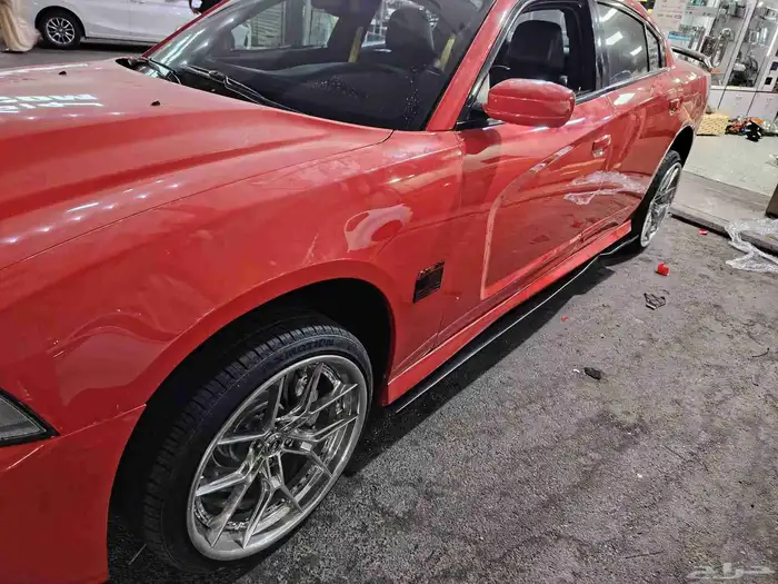 سمكات دواج 2014 1