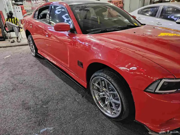 سمكات دواج 2014 0