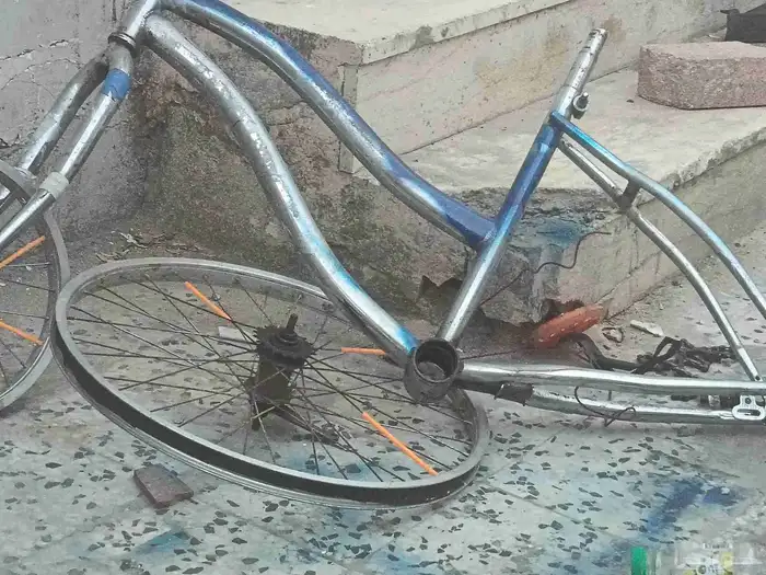 سيكل فراشه مقاس 24 بدي 0