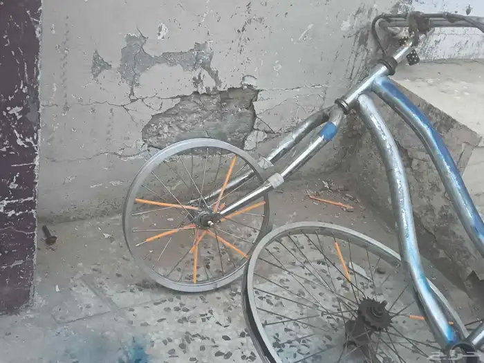 سيكل فراشه مقاس 24 بدي 1