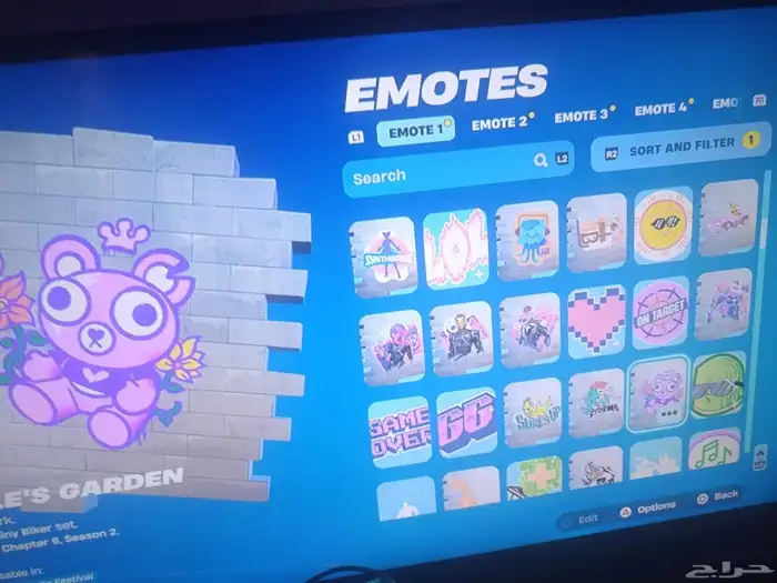 حساب فورت نايت نادر 30