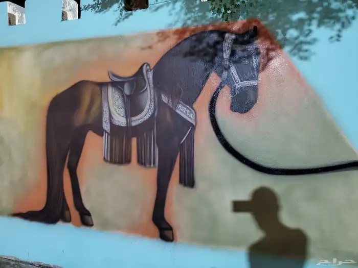 رسومات جدارية من اعمالي اسطبل خيول 2