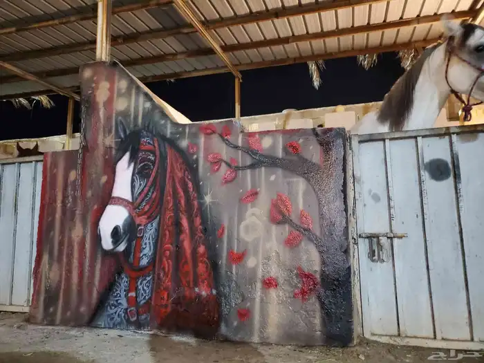 رسومات جدارية من اعمالي اسطبل خيول 1