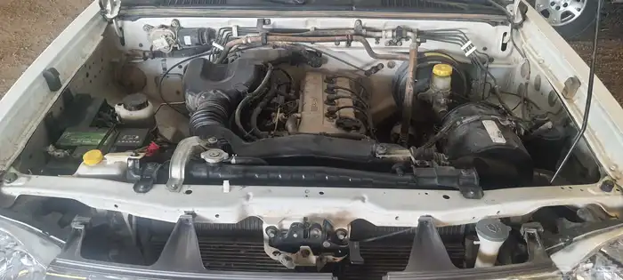 ددسن دبل 2014 15