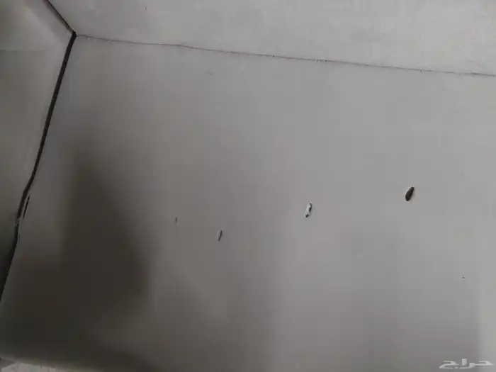 كنب للبيع 380 كبير 5