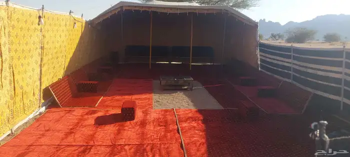 طلعة البر شاس 1