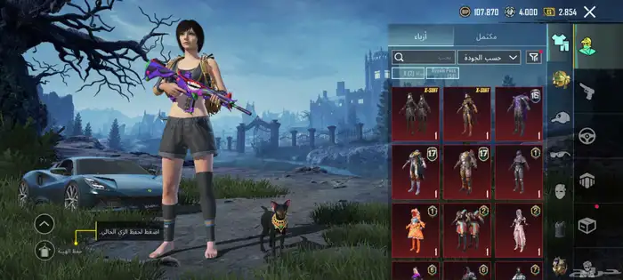 حساب ببجي عالمية للبيع سووم 4