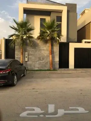 نخل واشنطني واشنطوانيا زينه للبيع 3