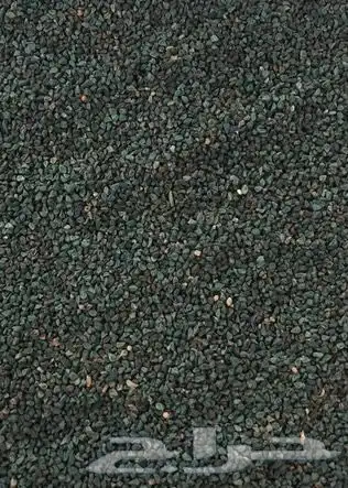 بذور ملوخية حساوية 500 جرام 0