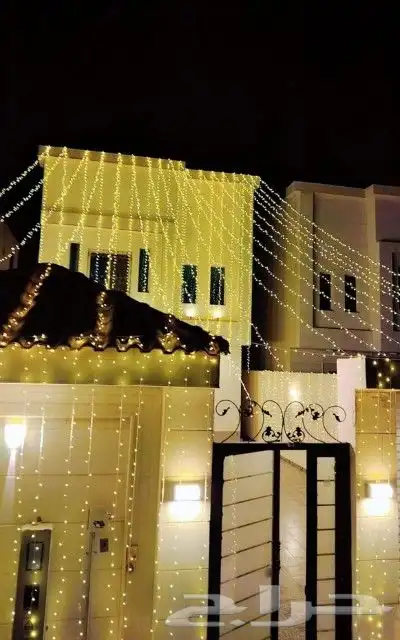 تاجير عقود لمبات 4