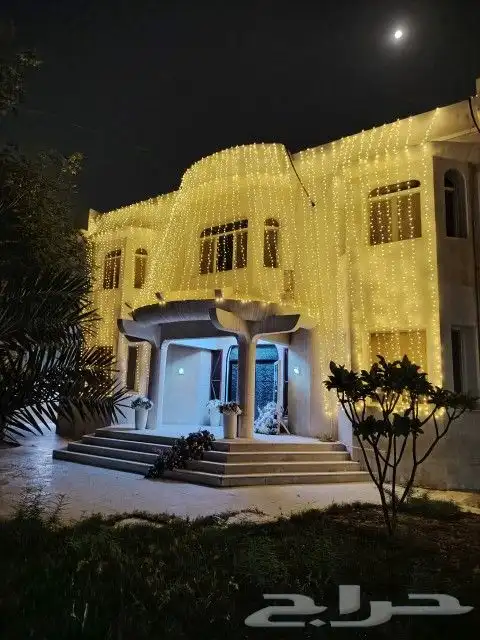 تاجير عقود لمبات 2