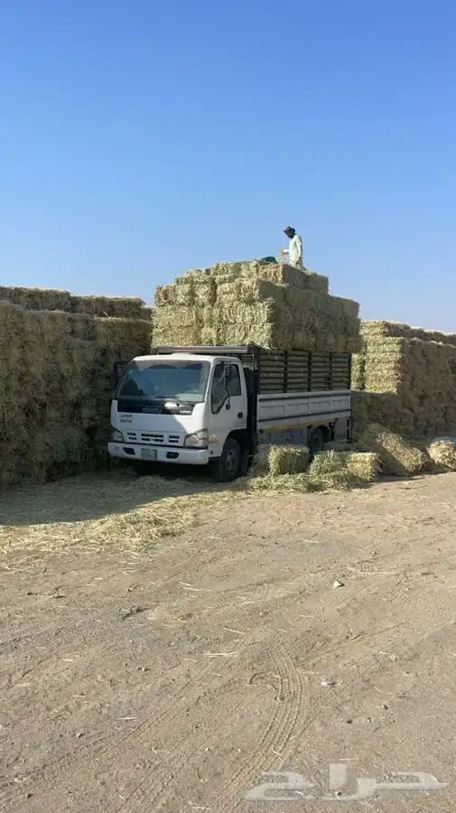 دنه تحميل اعلاف 0