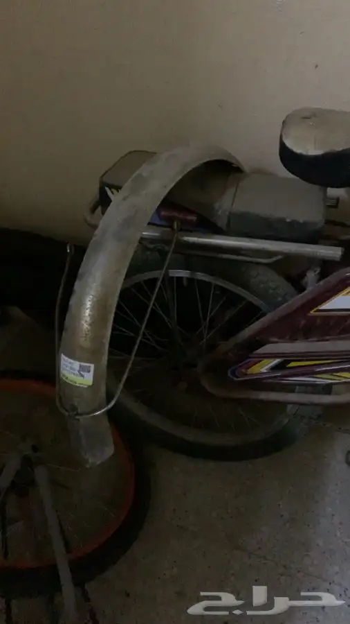 سيكل رامبو الخفجي 3