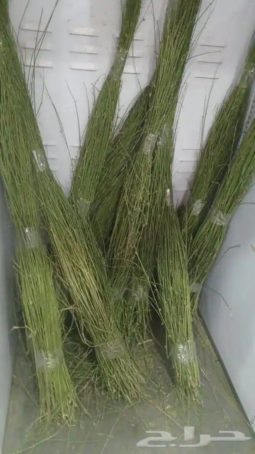 مرخ طازج وسلع وبشام طريق جابر الصباح 0