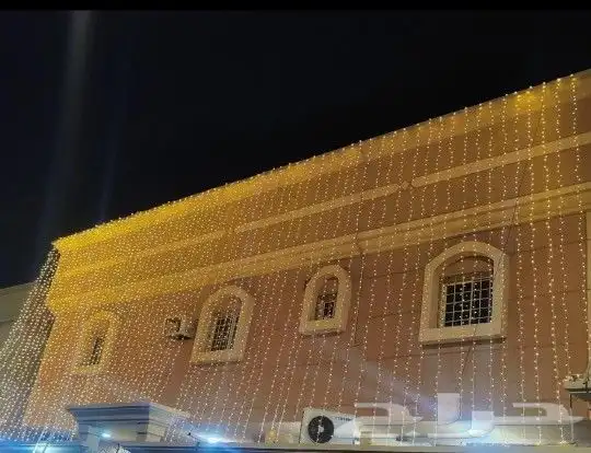 تاجير عقود لمبات 6