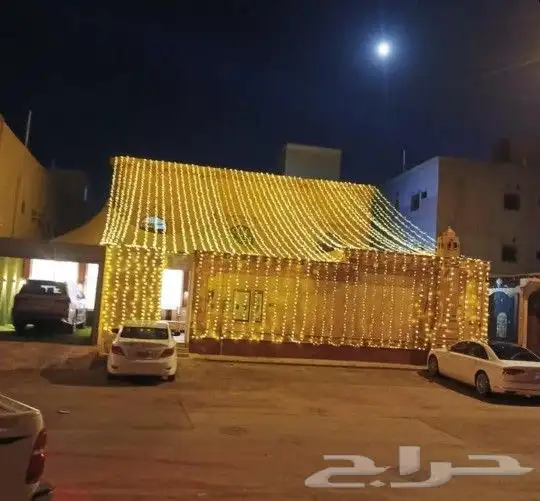 تاجير عقود لمبات 5