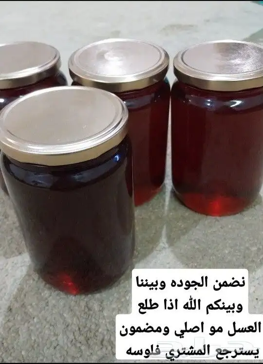 عسل سدر اصلي ومضمون 0