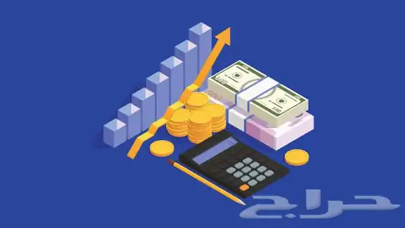 دراسة جدوى احترافية للمشاريع 0