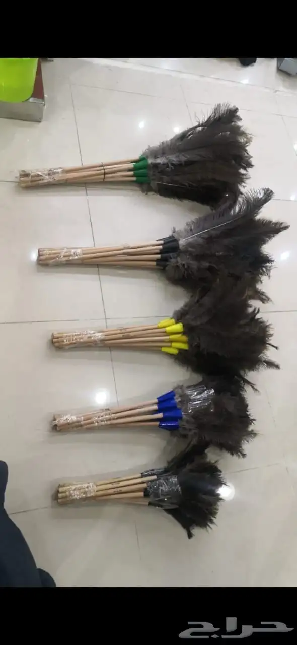 ريش نعام ريش   للغبار المحلات 0