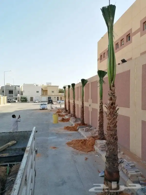 واشنطن زينه للبيع بجميع أنواعه وكافت مقاساته 9