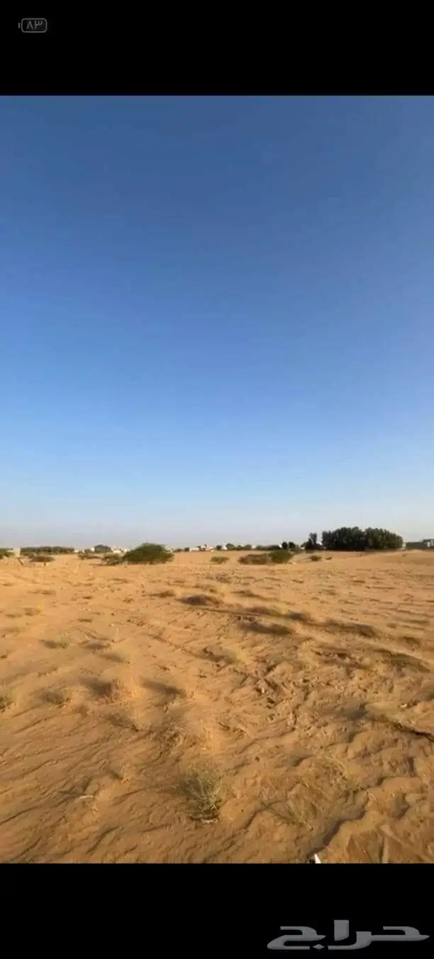 3 قطع اراضي زراعية للبيع المظيلف مساحتهم اكثر من 125 الف متر 1