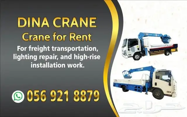 ونش رافعة دينا للإيجار اليومي أو الشهري الشركات والمؤسسات 3