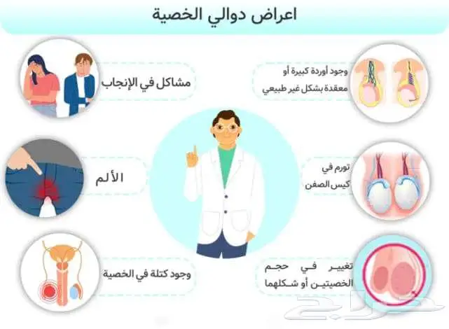 زيت دوالي الخصية والساقين 0