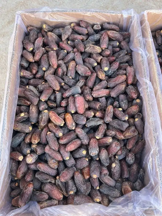 تمر دخيني مبروم ملكي حبه كبير 3