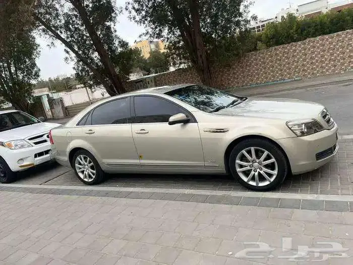 كابريس رويال بودي بلد 0