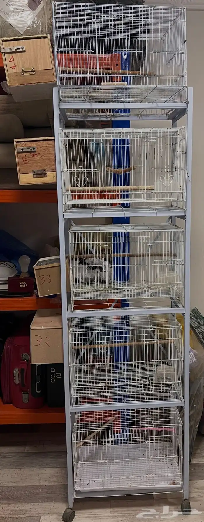 تم البيع استاندات واقفاص 600 0