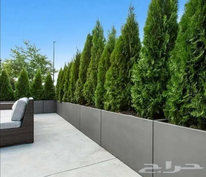 احواض جاهزة للزراعة فايبر كبيرة ومراكن بسعر المصنع الاحساء 18