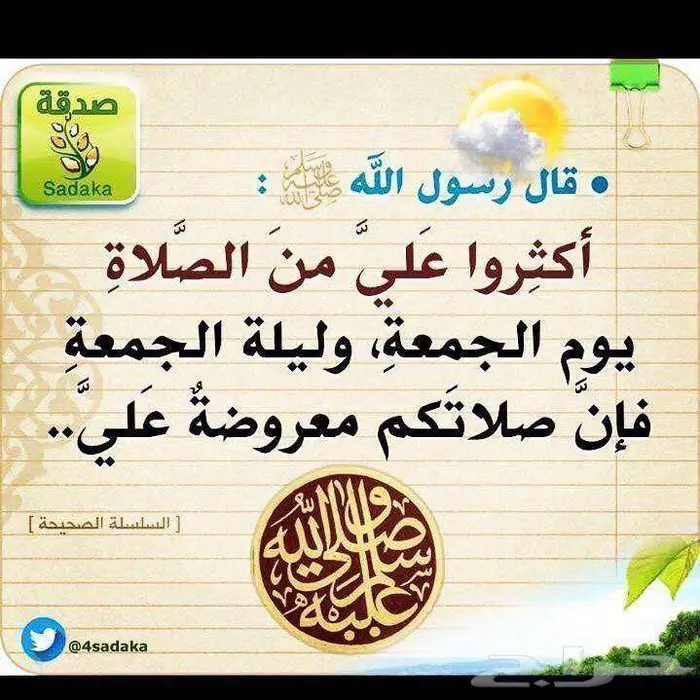 فنان تدريب سياقة وتجارة 5