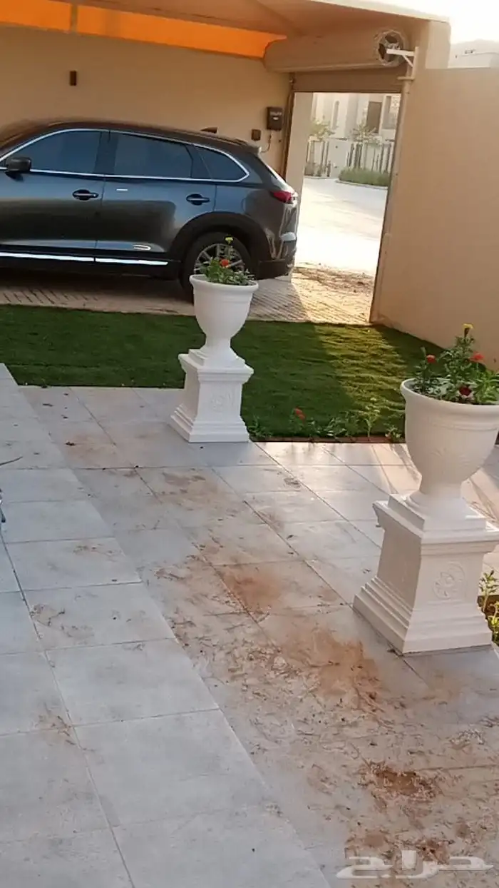 ثيل طبيعي فرنسي درجة أولى 9