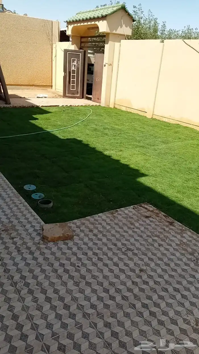 ثيل طبيعي فرنسي درجة أولى 6