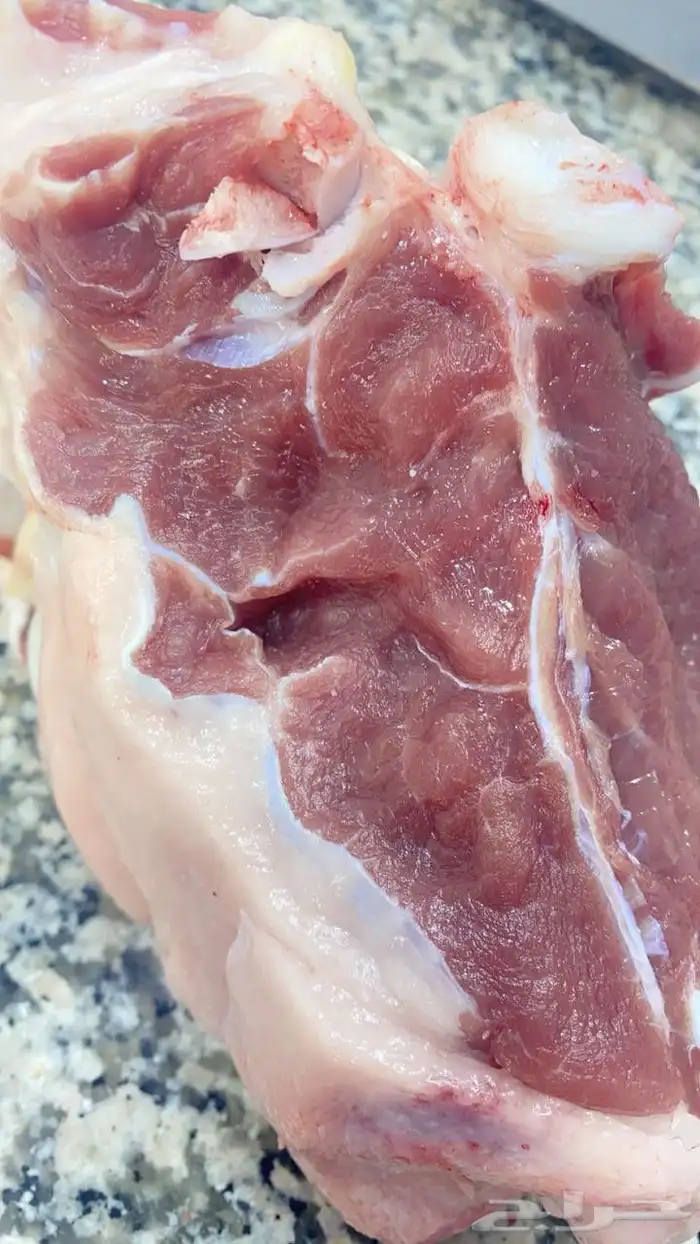 ملحمة النسيم البلدي تيوس خرفان حشوان صغير ويوجد توصيل 2