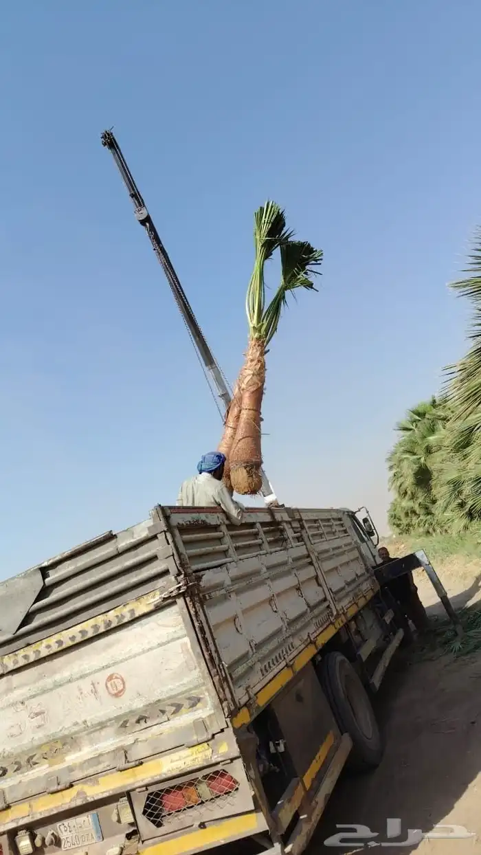 منسق حديق وتركيب جميع شبكات الري العادي والاتمتك 0