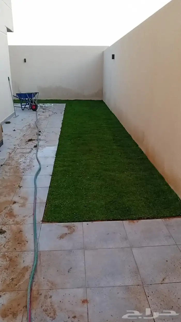 ثيل طبيعي فرنسي درجة أولى 8