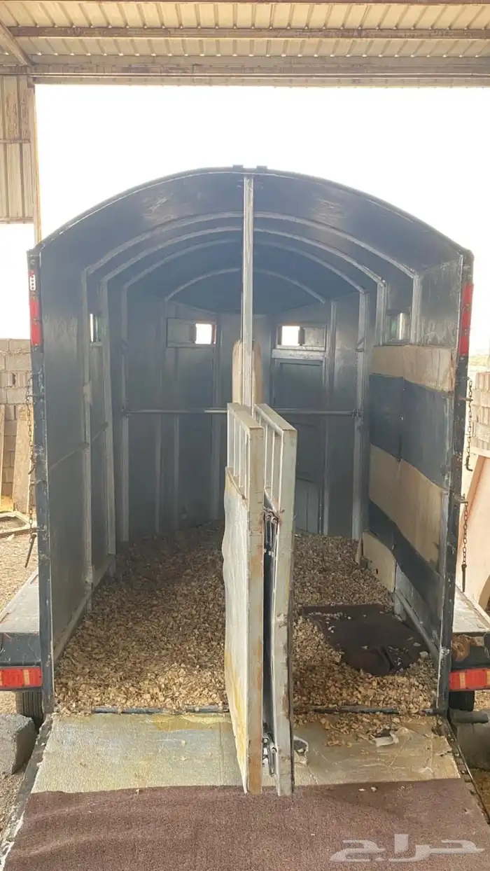 عربة خيل راسين 2