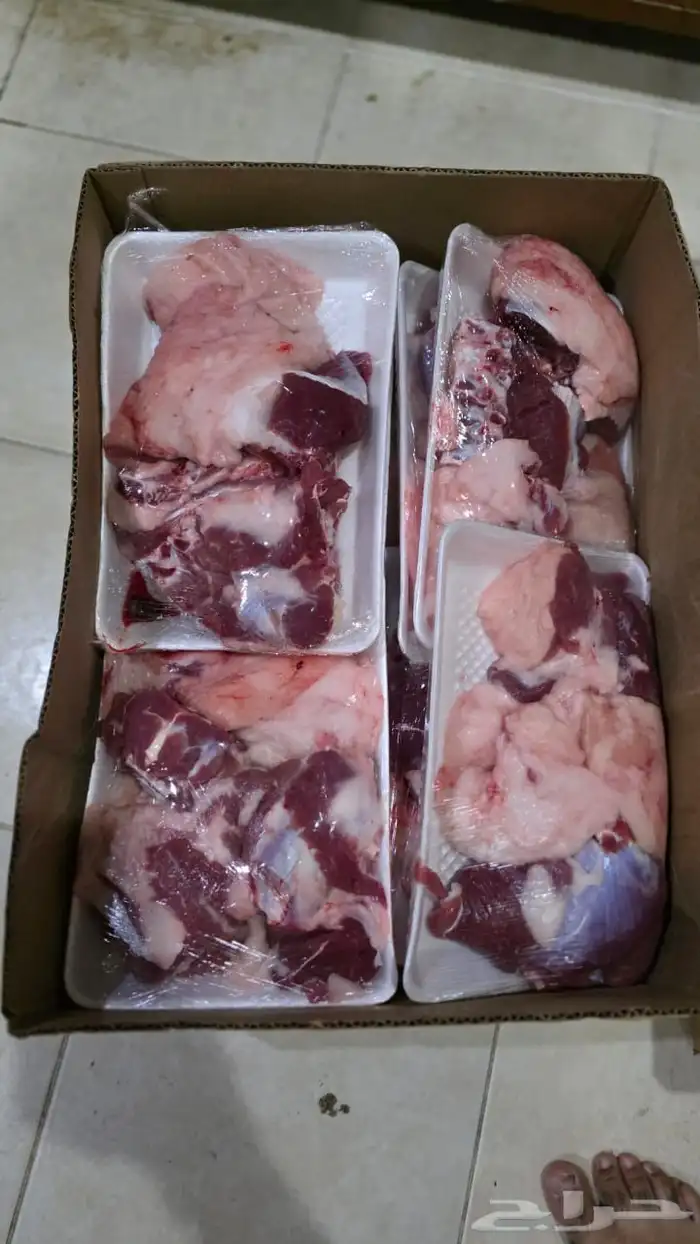 نعيم بلدي 10