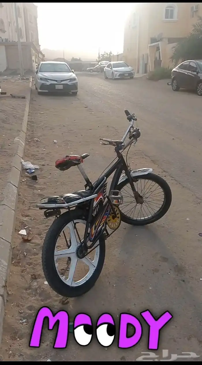 رامبو للبيع 0