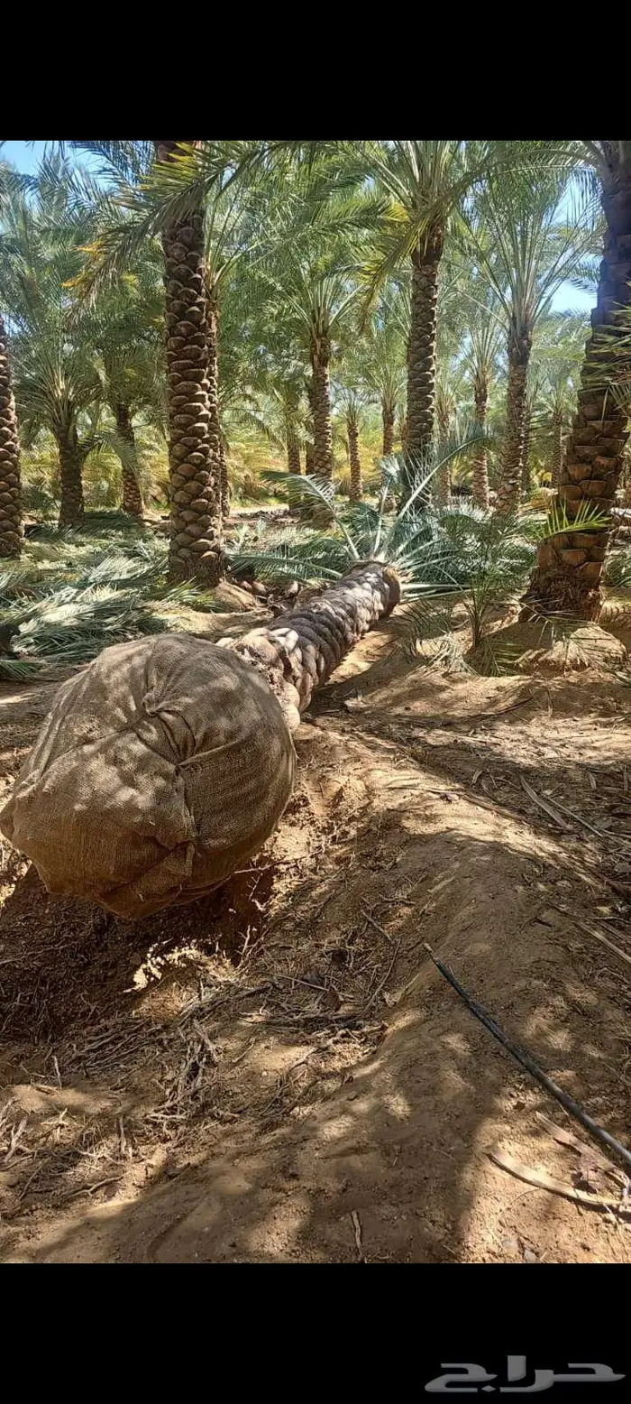 مقاولات عامة 10