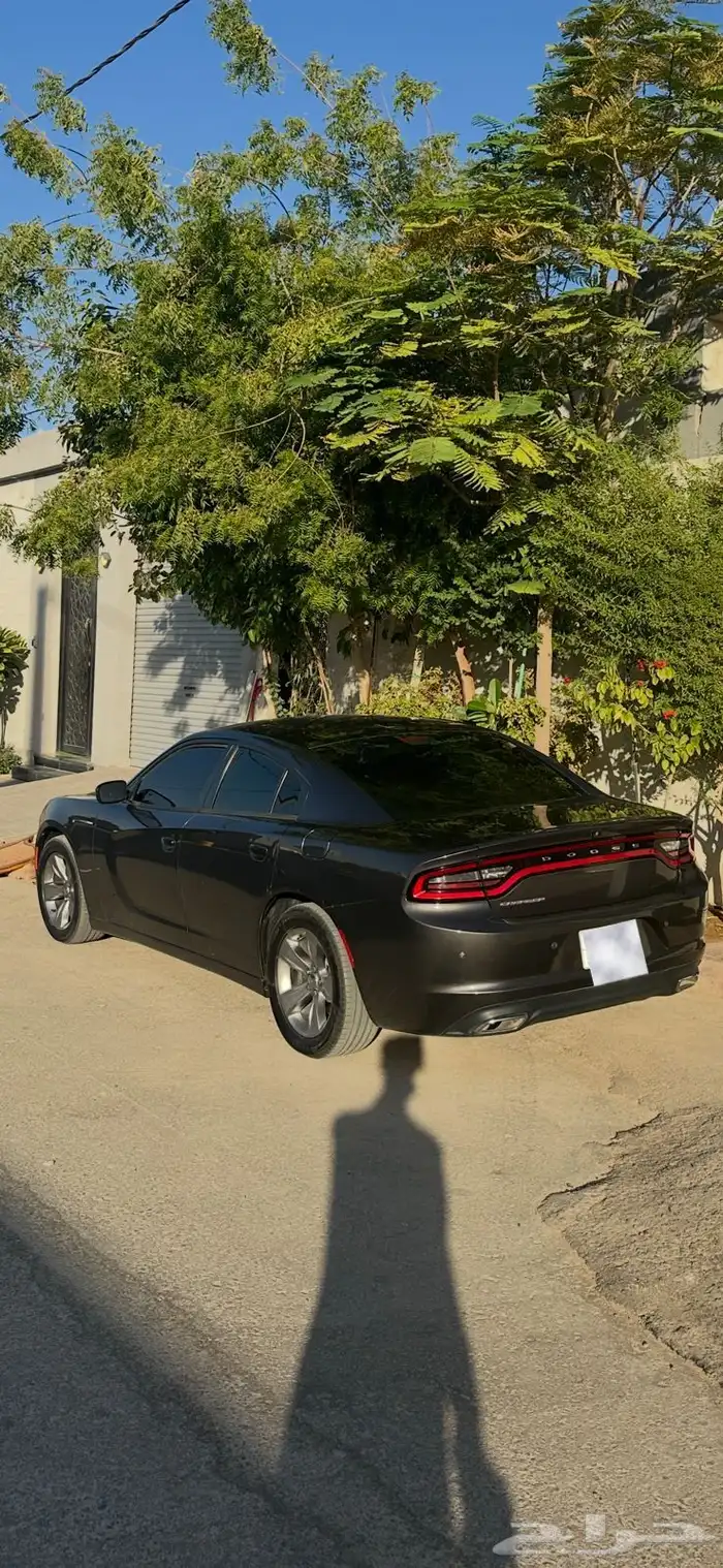 دوج 2019 6 سرندل 0