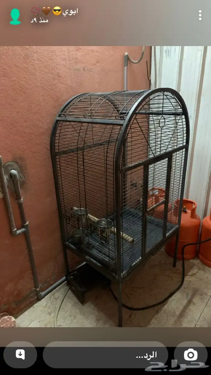 قفص طير للبيع الي له خاطر يتواصل معاي 2