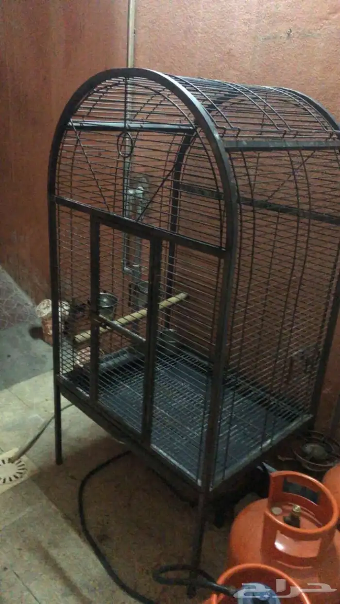 قفص طير للبيع الي له خاطر يتواصل معاي 3